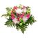 Alice. This tender and touching bouquet of chrysanthemums and carnations will be a great reminder about warm days you&#39;ve spent together. . Nizhny Novgorod