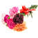 Mixed Color Carnations. Nizhny Novgorod